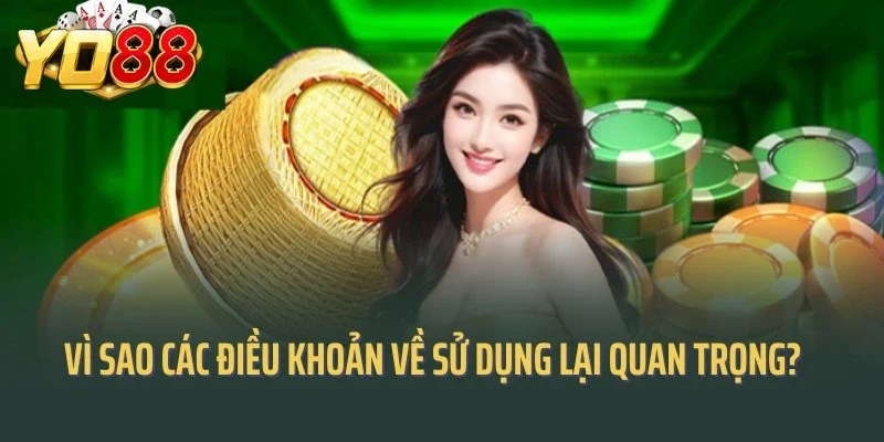 Vì sao các điều khoản về sử dụng lại quan trọng?