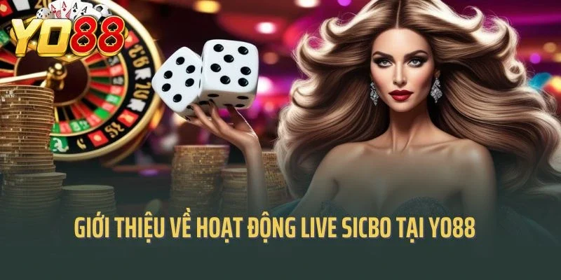 Giới thiệu về hoạt động live sicbo tại cổng game yo88